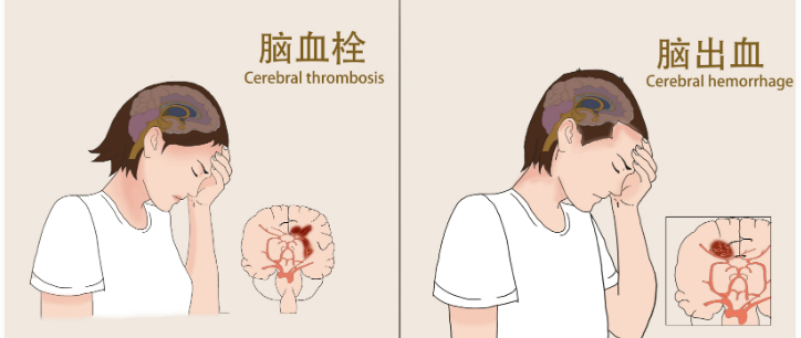 预览图_千图_编号44036994.jpg