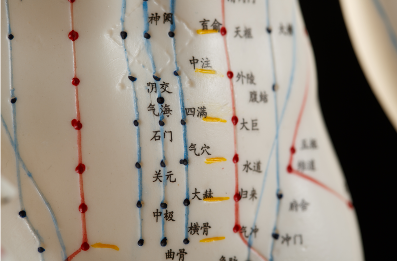 天气转凉，如何调养脾胃？