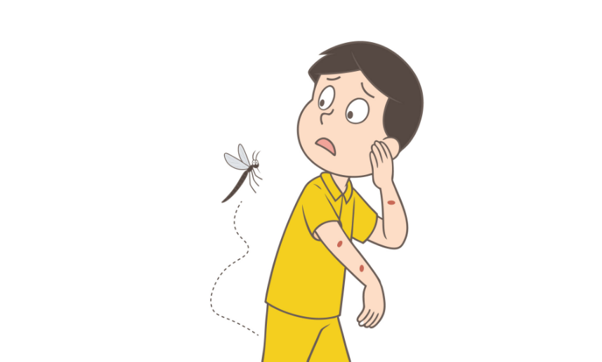 秋天蚊子咬人更狠，防蚊止痒这样做