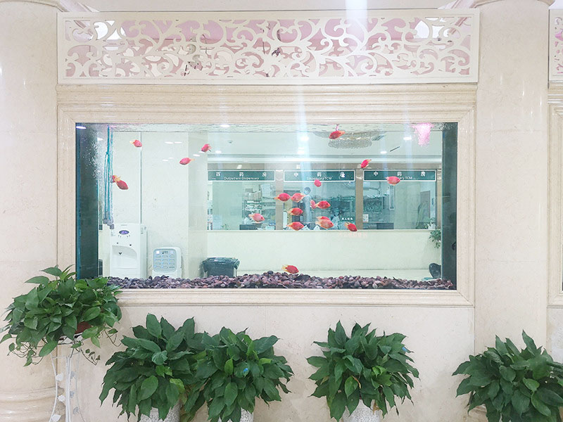 如何支持焦虑症家人：一份给家属的全面方位指南