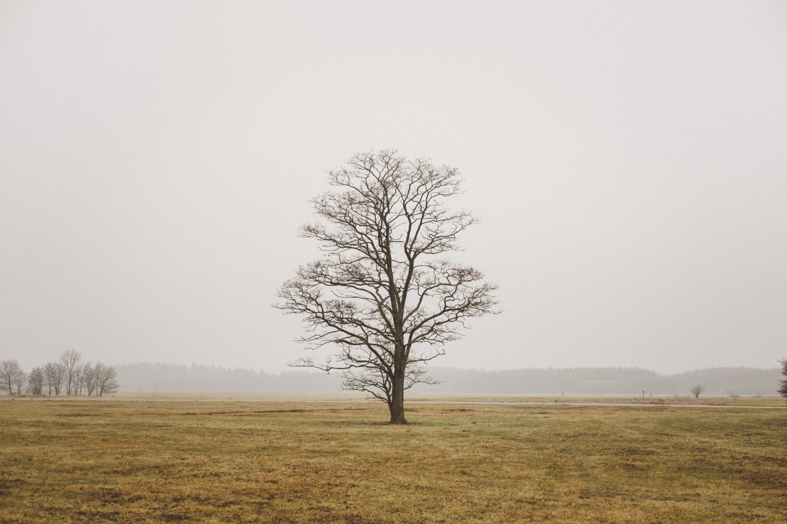 穿越季节性抑郁：如何安放秋冬的悲伤？